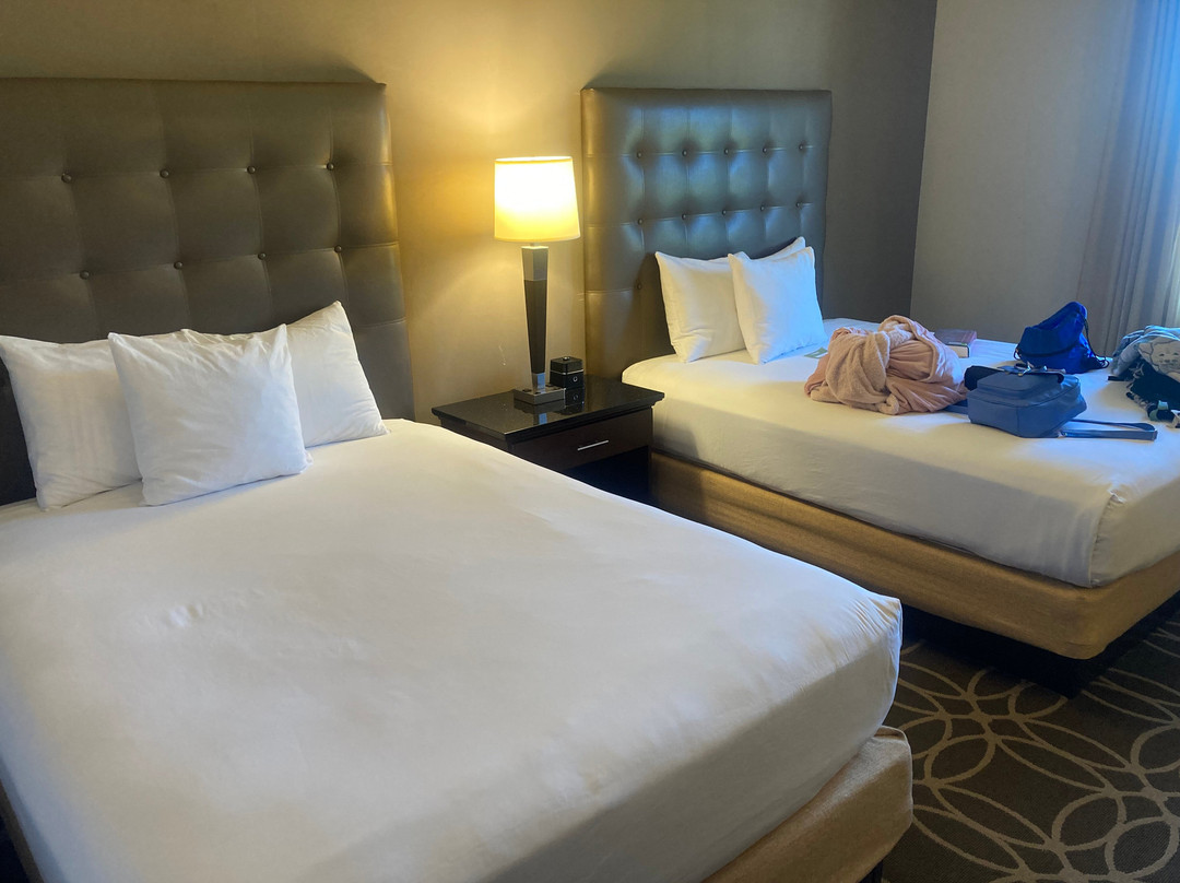 路易斯威尔北德鲁里套房酒店主图