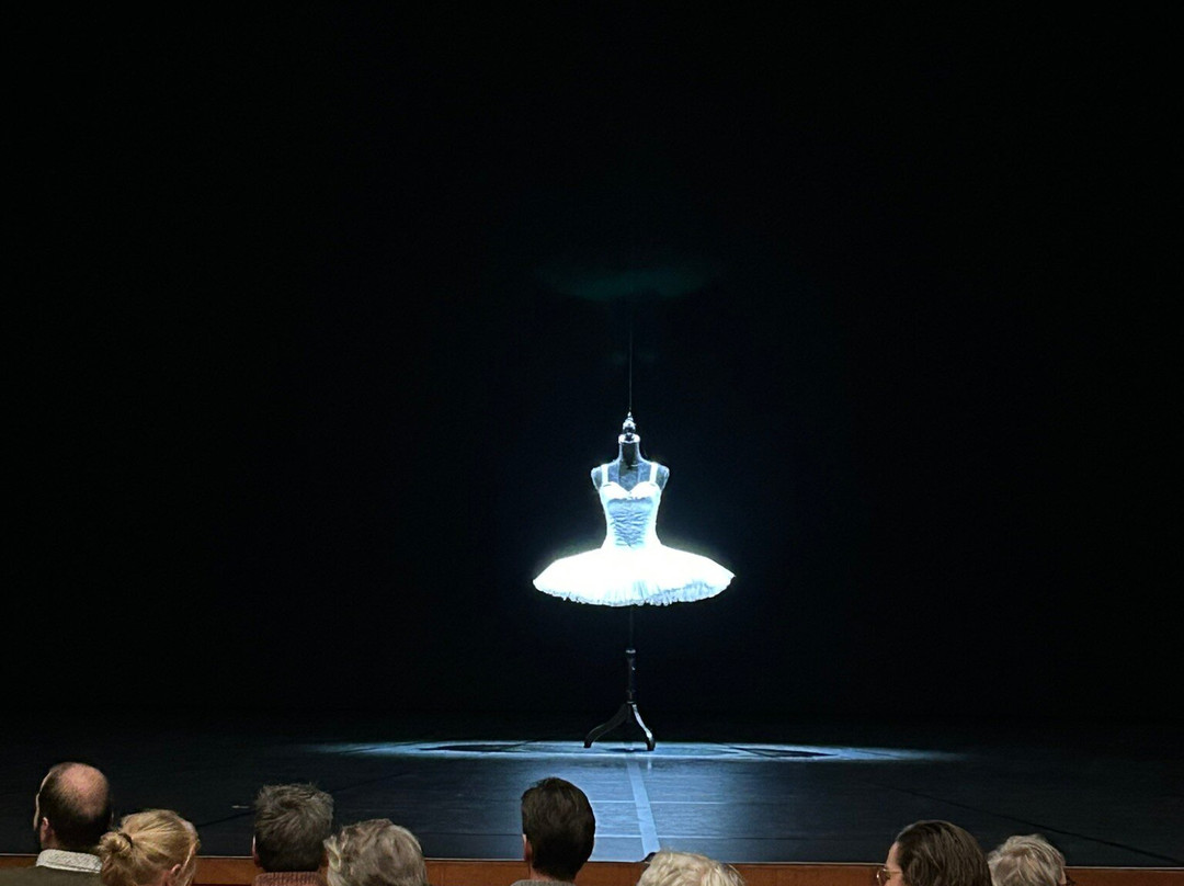 Theater De Spiegel-兹沃勒必去景点