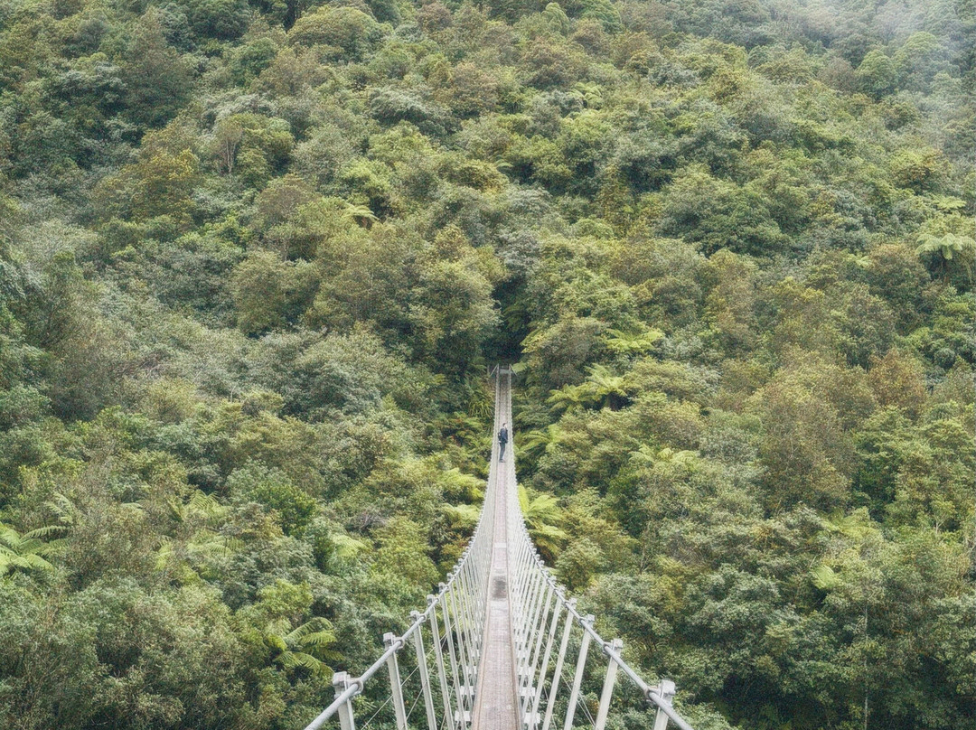 Roberts Point Track-弗朗茨约瑟夫（冰川）必去景点