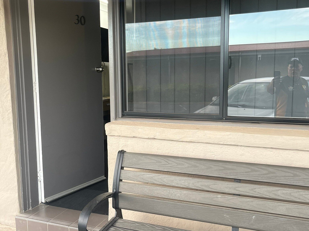 樱花盛开汽车旅馆主图