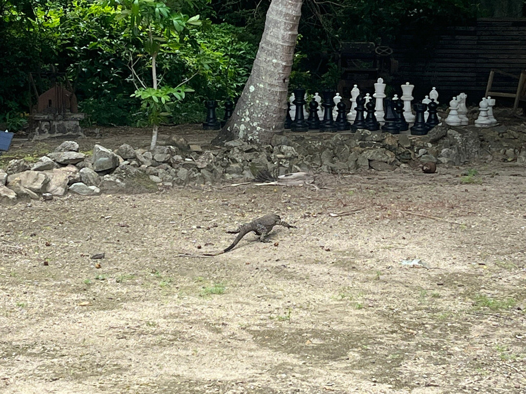 伊利西亚豪华生态岛度假村主图