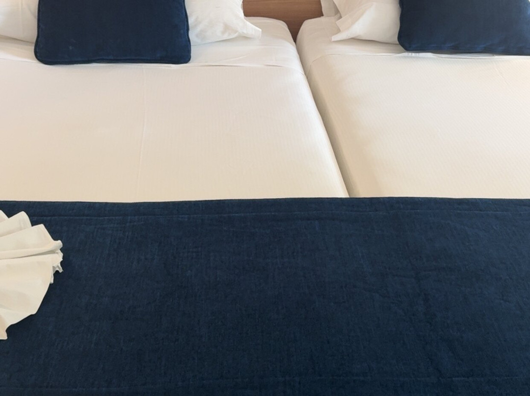 丽笙宫殿酒店博阿维斯塔 - 全包主图