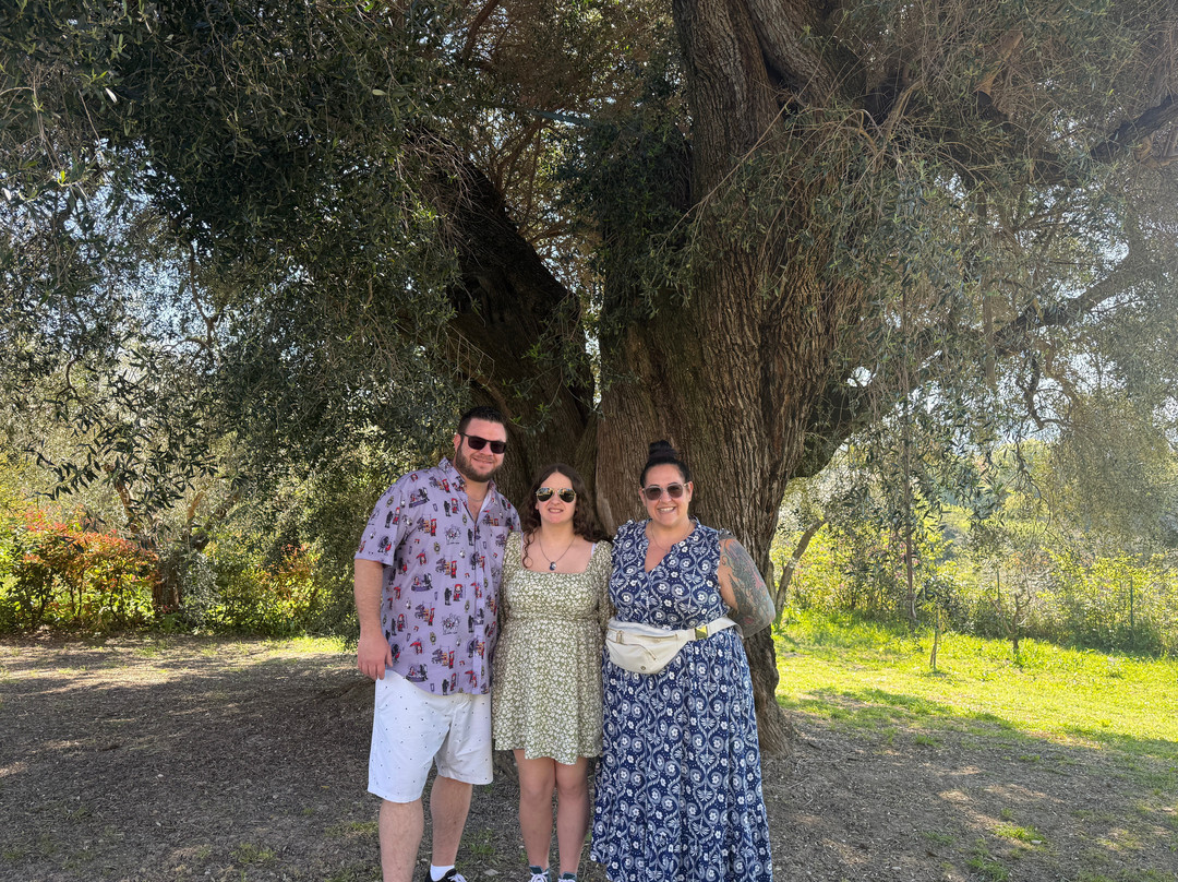 Italian Cooking Class and Olive Tour Experience-罗马必去景点