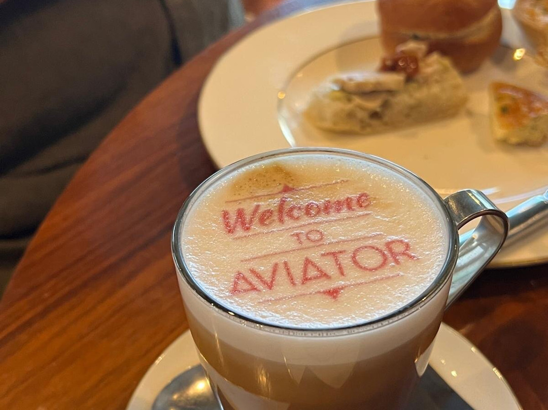 飞行员汉普郡主图