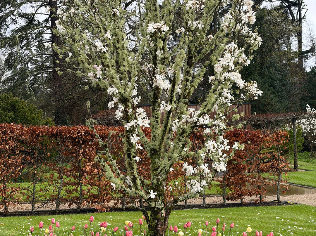 巴利纳城堡酒店主图