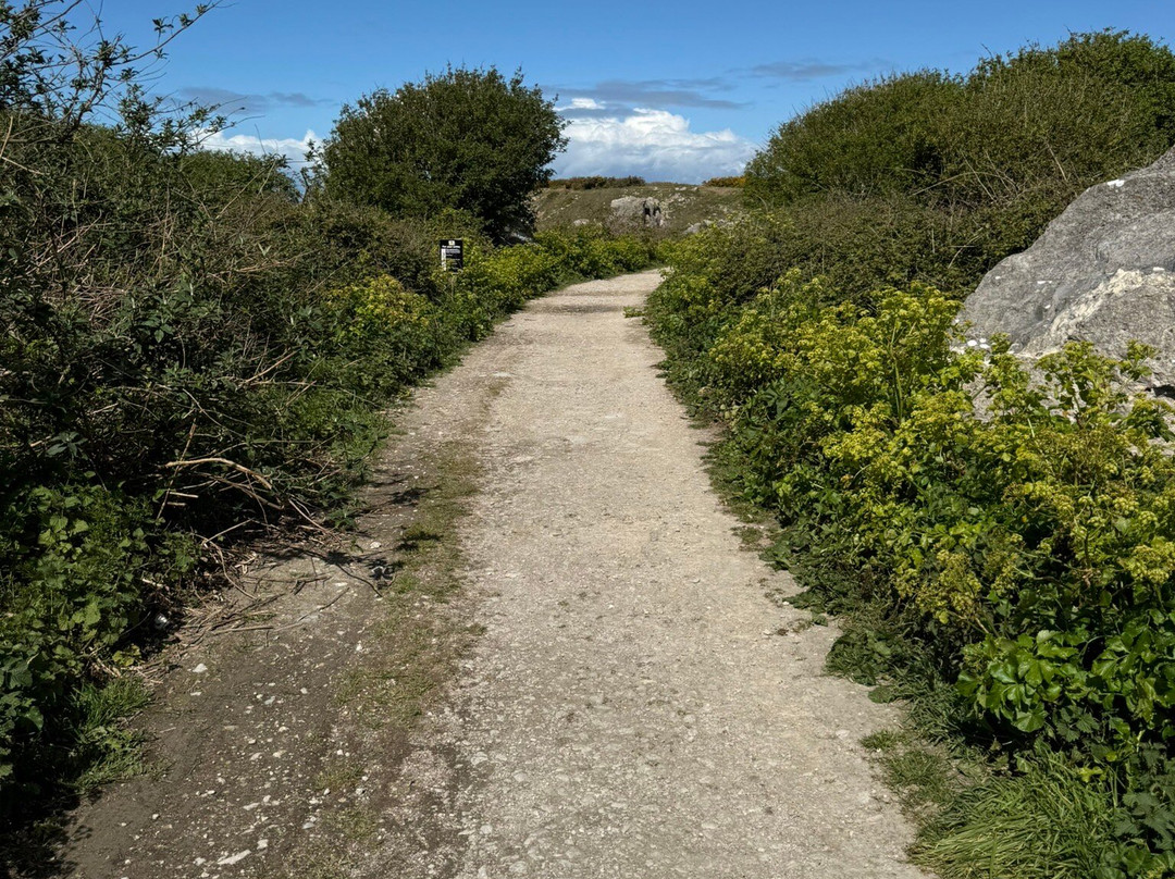 Tout Quarry Sculpture Park and Nature Reserve-Isle of Portland必去景点
