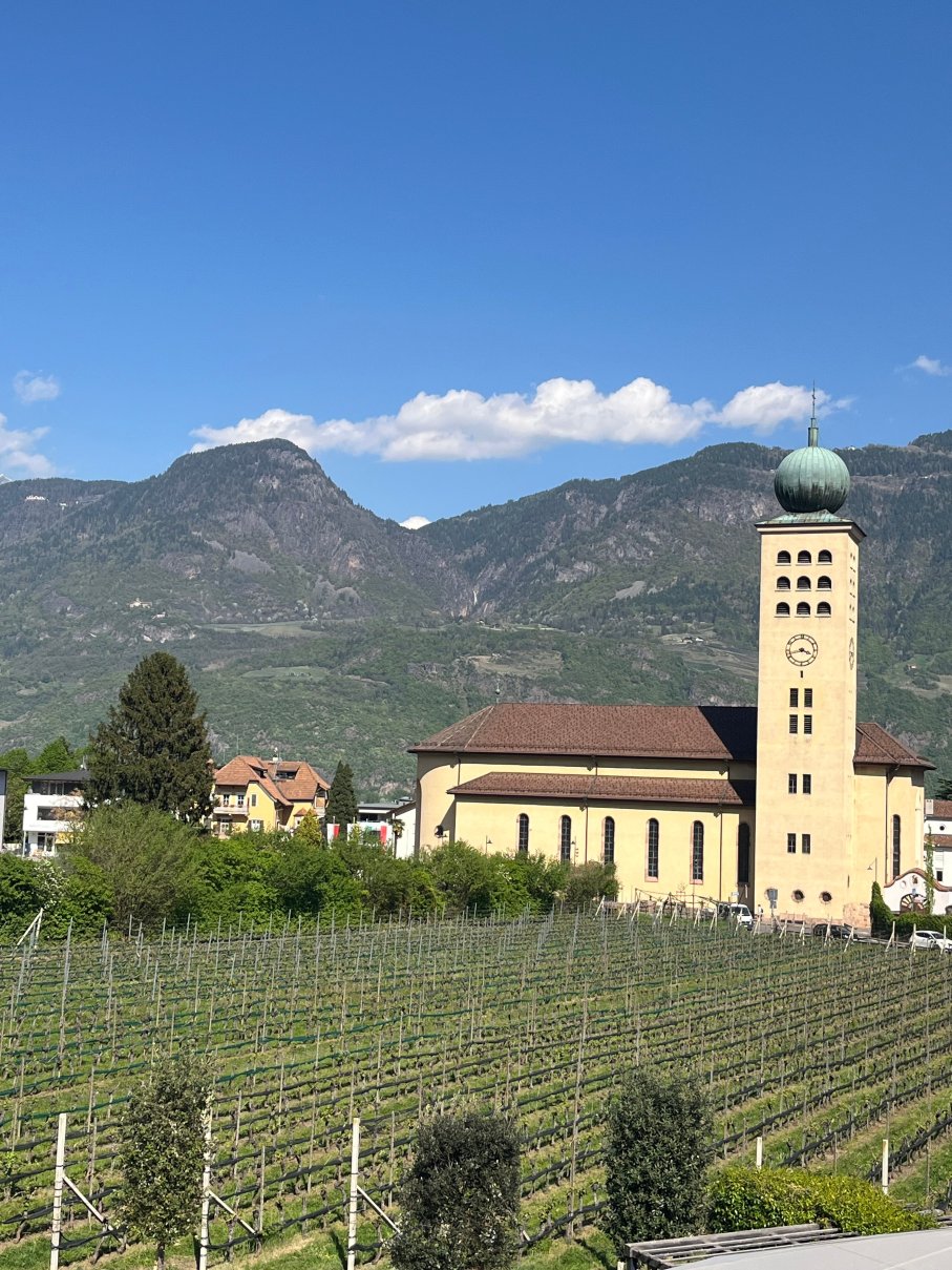Hotel Schwarzschmied-旅行者