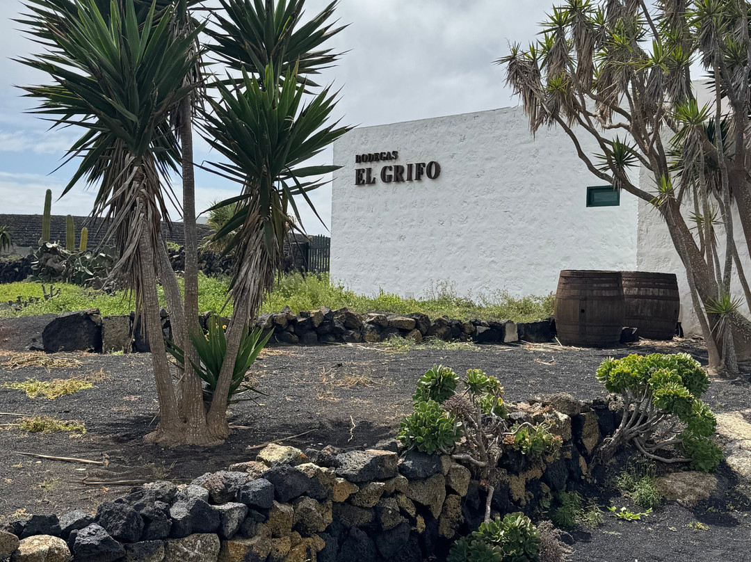 El Grifo - Museo del Vino-San Bartolome必去景点