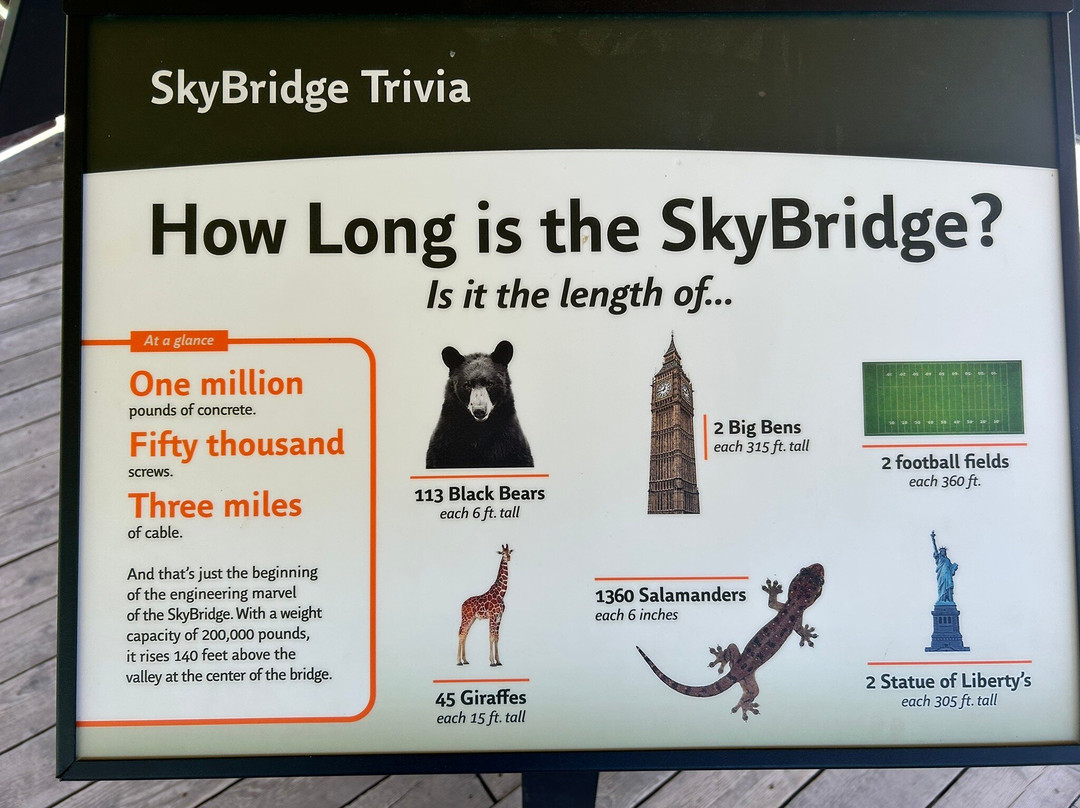 SkyBridge-盖林柏格必去景点