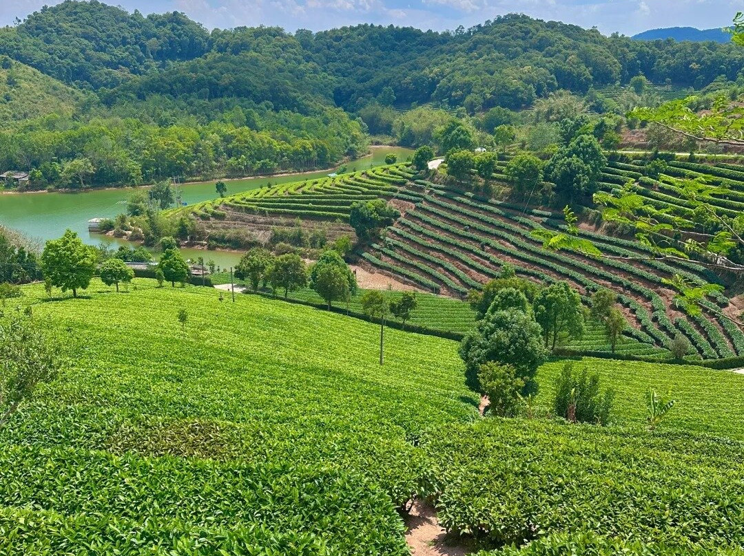 思茅茶马古道-普洱市必去景点