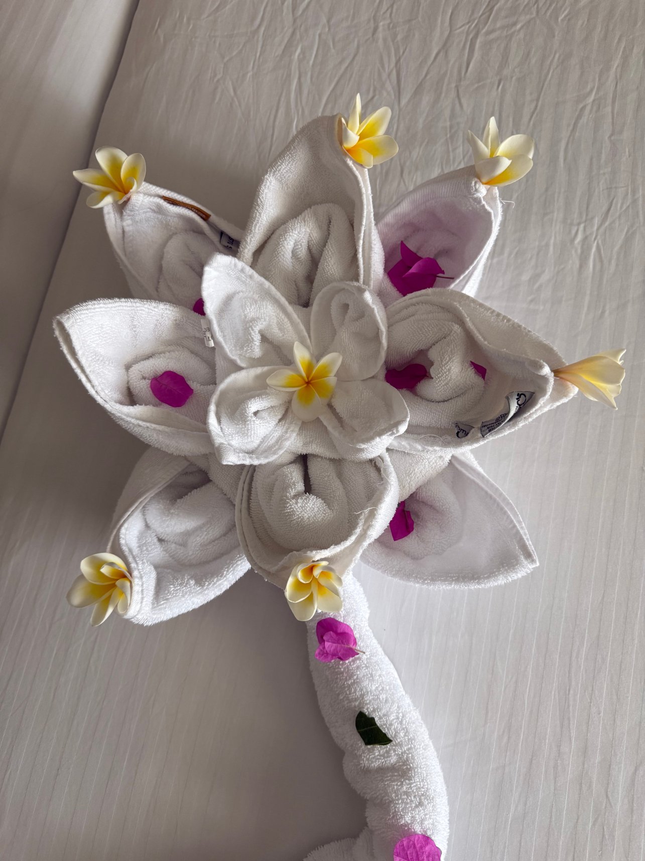 拉斯索马施柏阁酒店-客卧