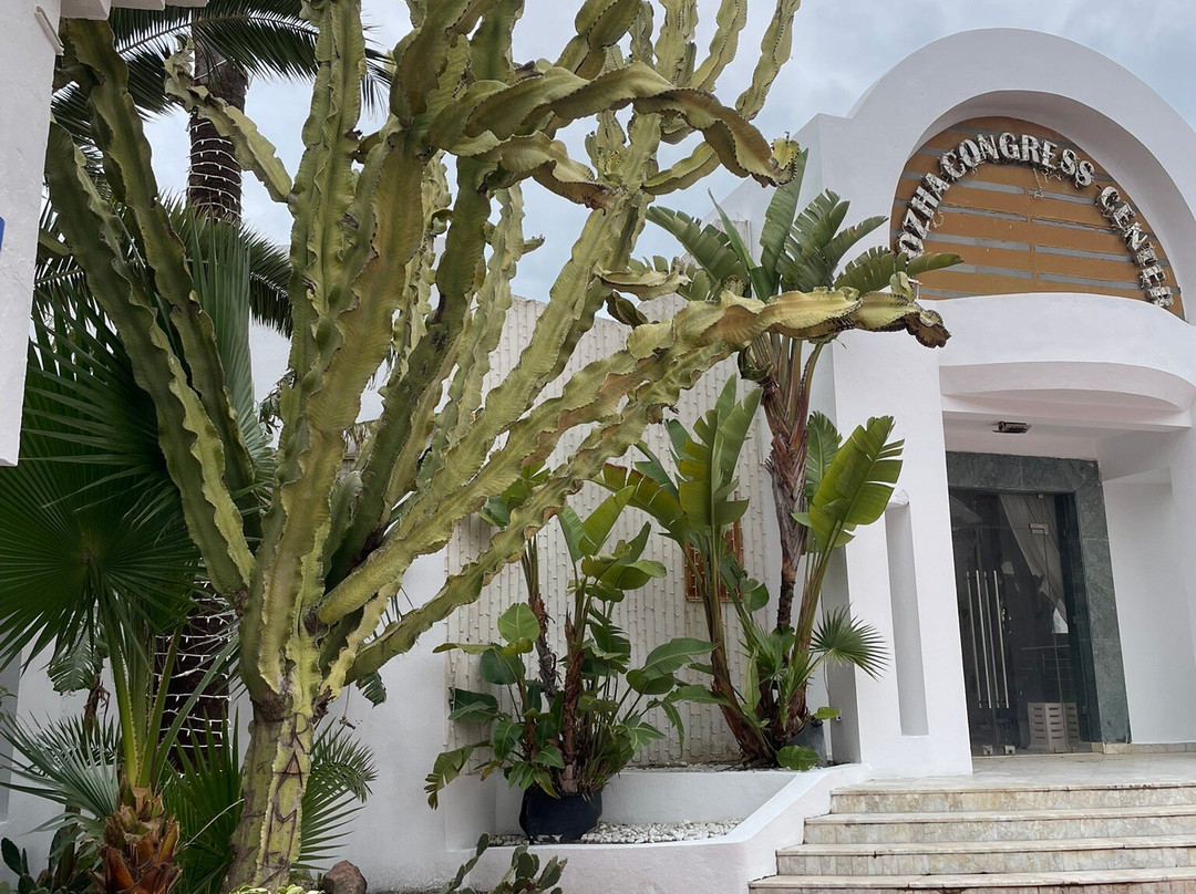 文希诺扎海滩酒店(VINCCI NOZHA BEACH)主图