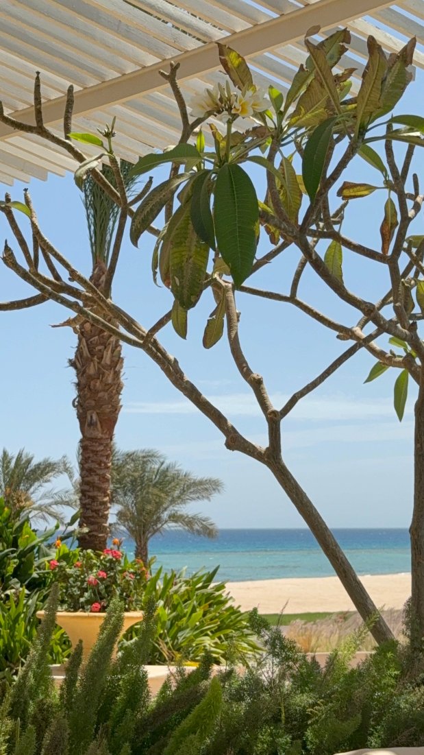 萨尔哈氏男爵宫殿度假村-官方