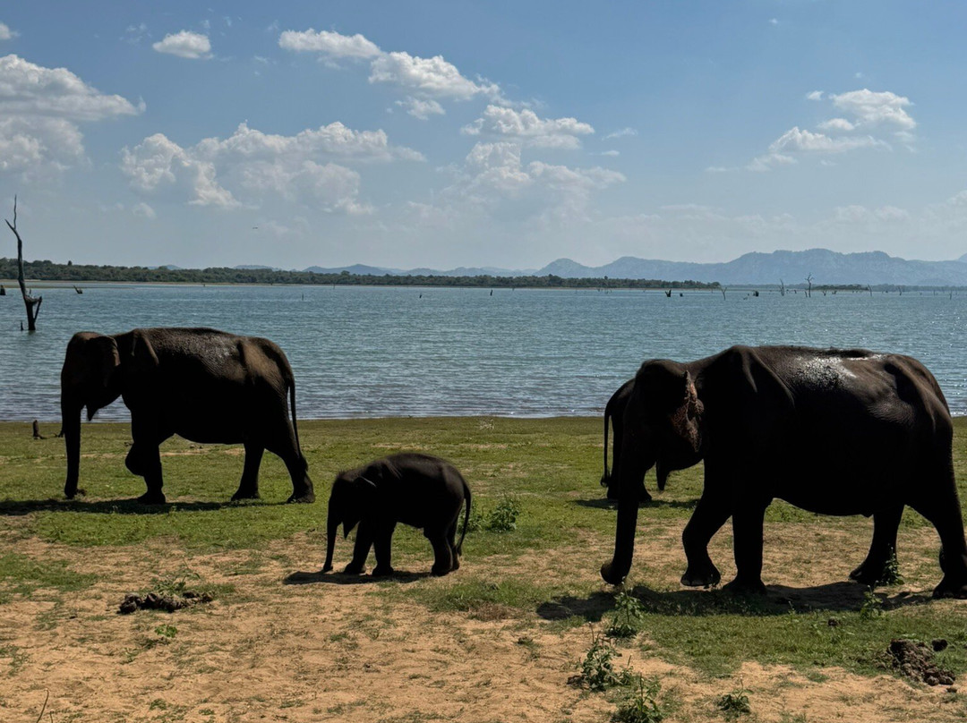 HOLIDAY WORLD TRAVEL SRI LANKA-Ragama必去景点