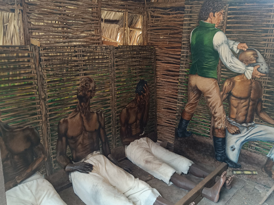 La Savane des Esclaves-Trois-Ilets必去景点