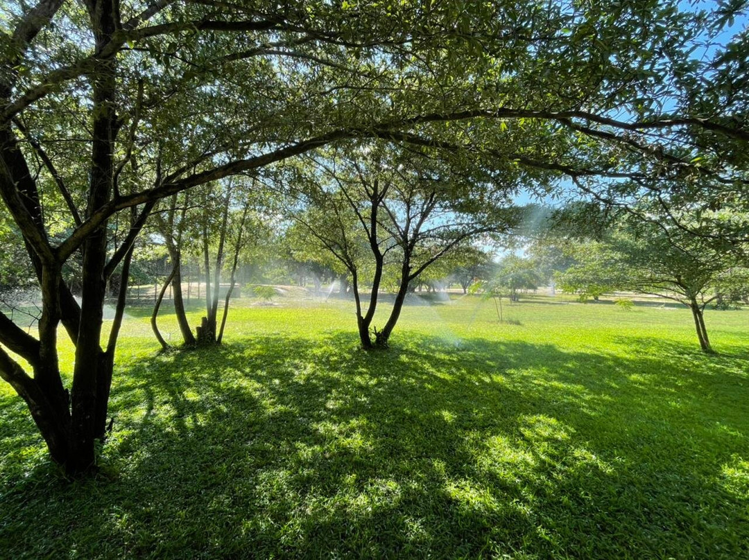 Muchenje River Camp