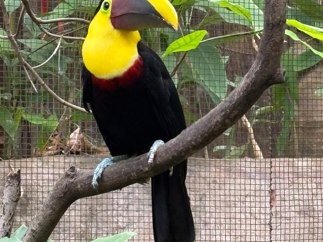 Diamante Eco Adventure Park-Playa Matapalo必去景点