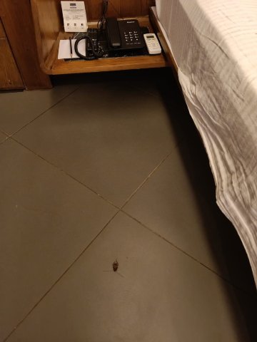 柠檬树关键精选旅馆 - 艾哈迈达巴德萨巴尔马蒂道场-客卧