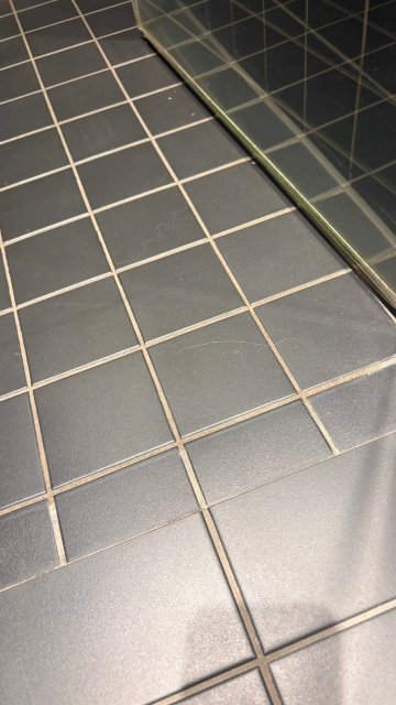 林恩霍尔酒店-旅行者