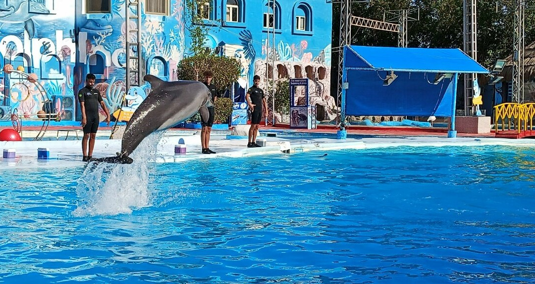 Dolphina Park-沙姆沙伊赫必去景点