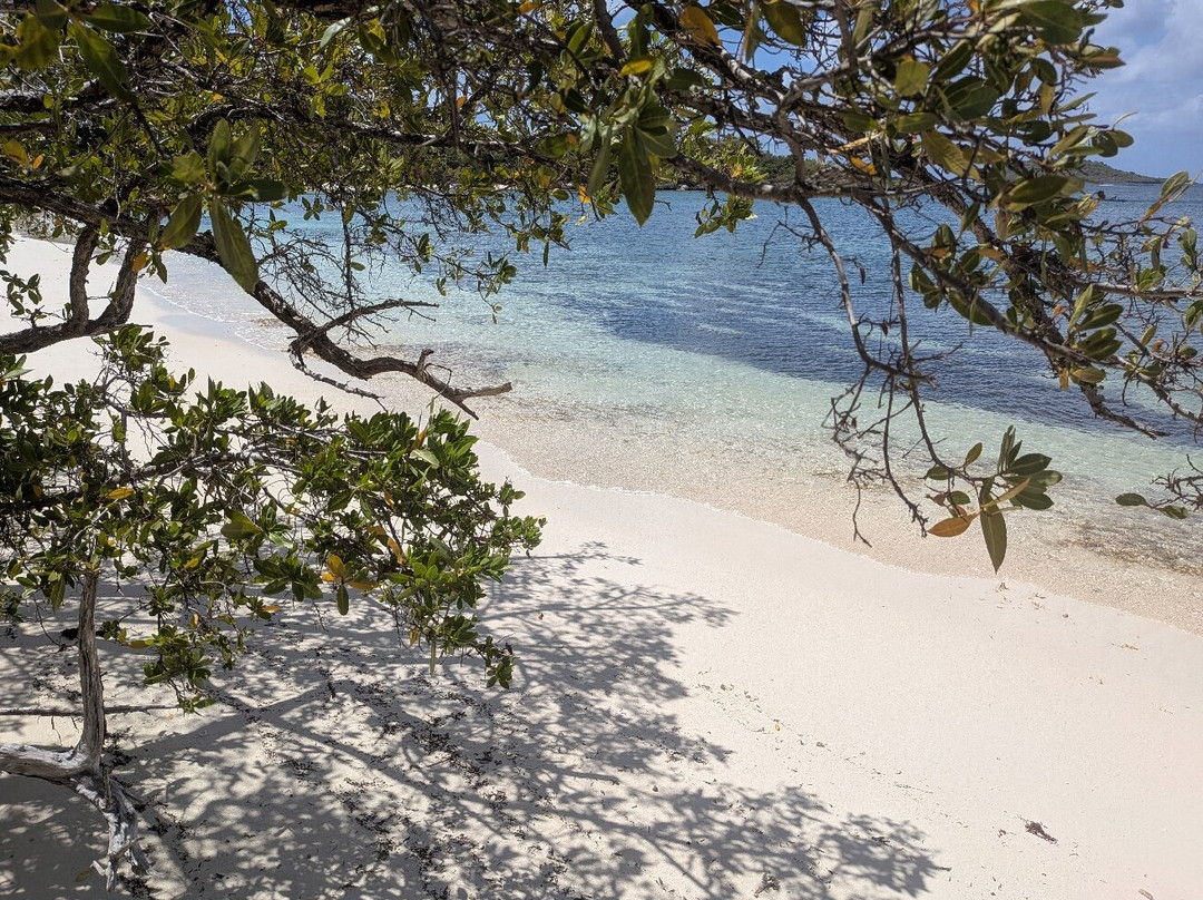 The Escape at Nonsuch Bay Antigua主图