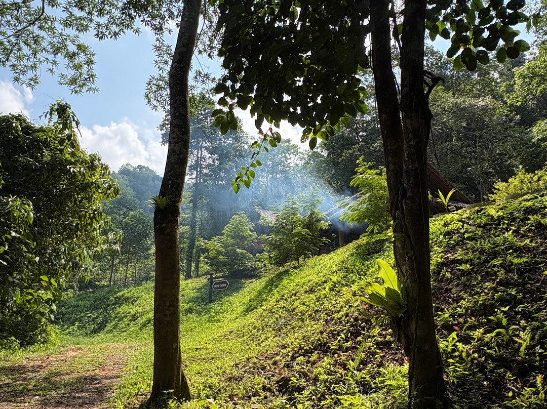 Phang Nga Elephant Park-攀牙必去景点