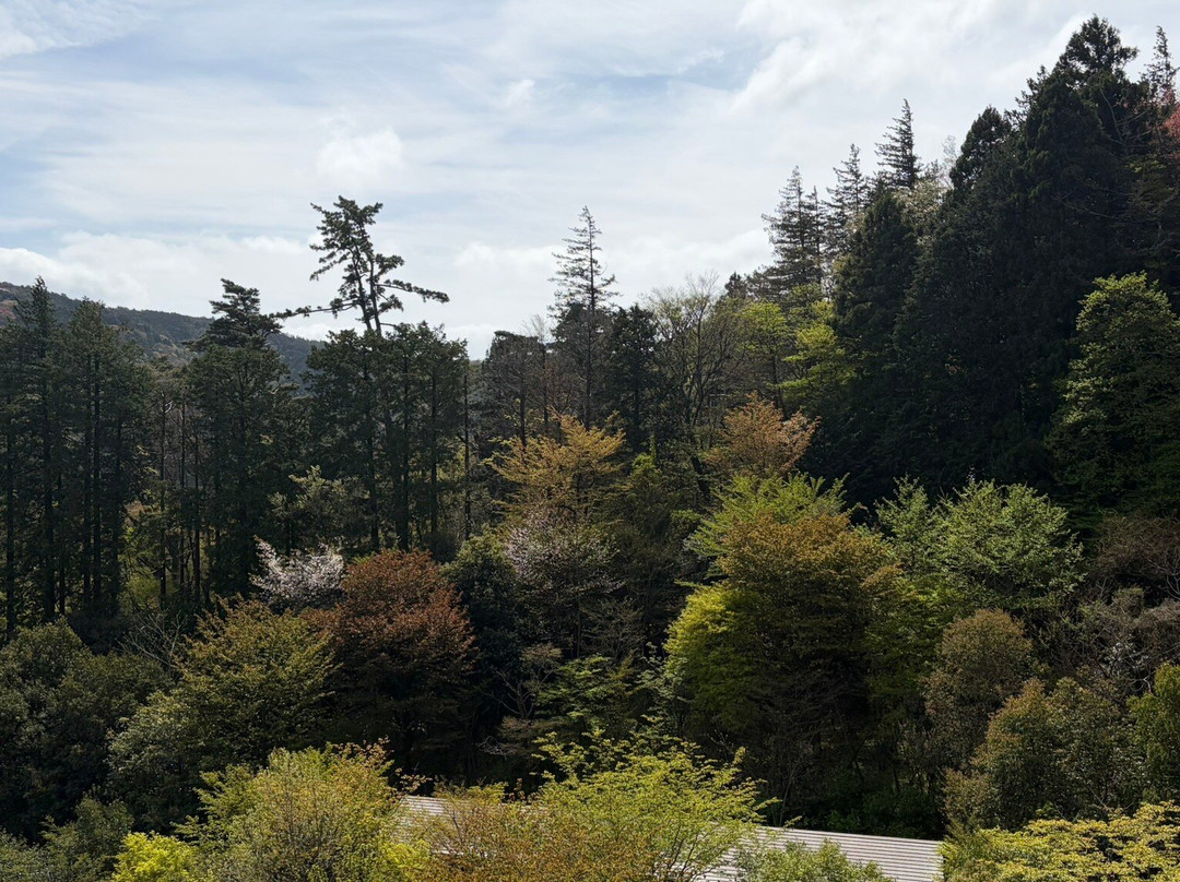 箱根小涌园天悠旅馆主图