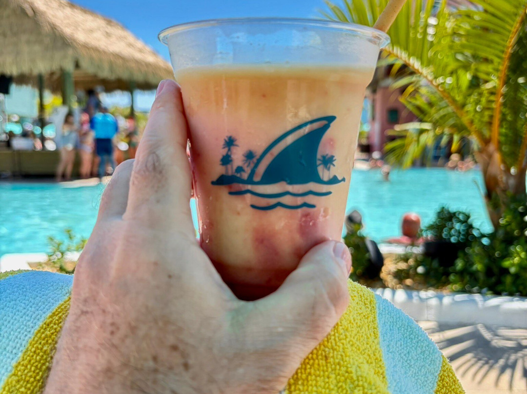 Fins Up! Beach Club Fort Myers Beach-迈尔斯堡海滩必去景点