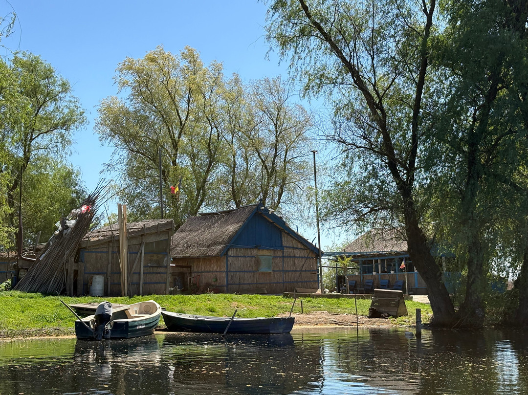 Tours in Delta with John-Crisan必去景点