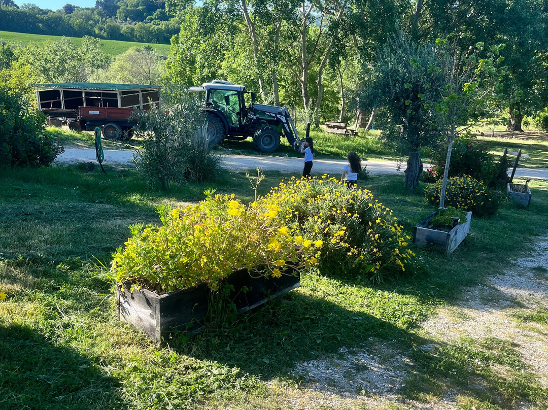 Sorelle Biologiche-Monte Castello di Vibio必去景点