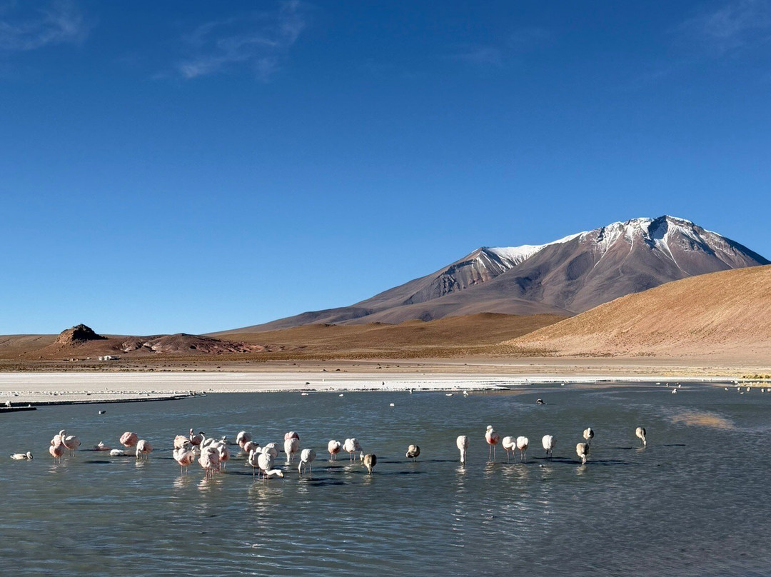 Andes Salt Expeditions Tour Operator-乌尤尼必去景点