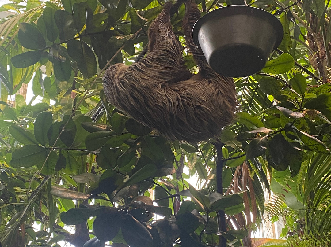 丹麦国家水族馆-哥本哈根必去景点