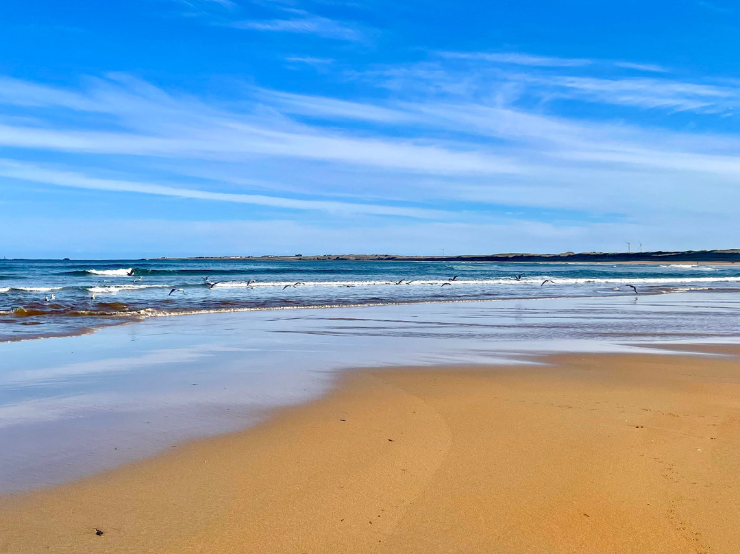 Fraserburgh Beach-Fraserburgh必去景点