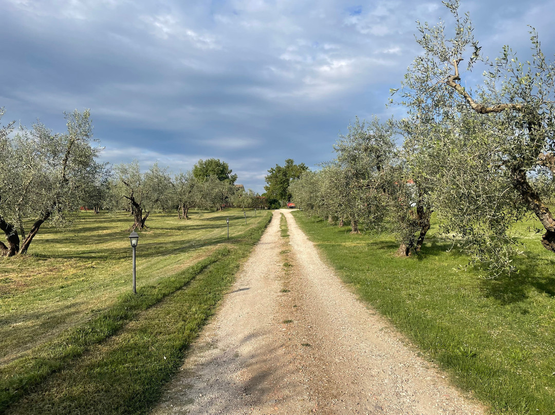 Agriturismo Poggio Degli Ulivi主图