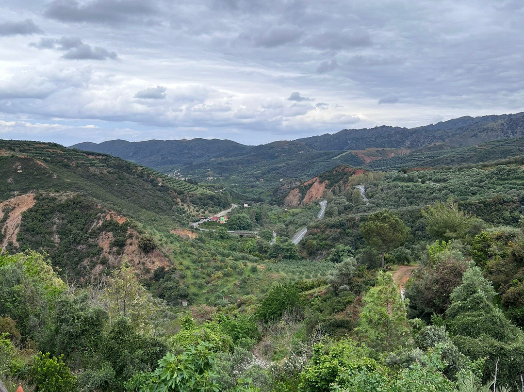 Botanical Garden Of Crete-Fournes必去景点