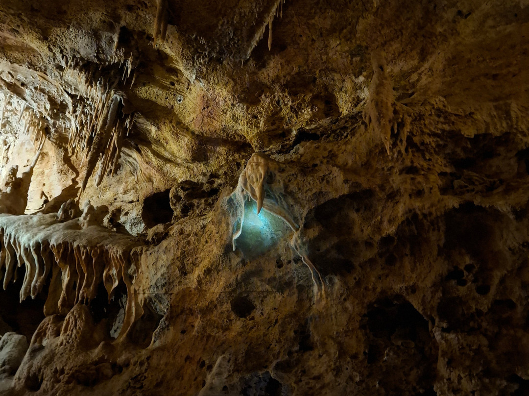 Grotte Du Bosc-Saint-Antonin Noble Val必去景点