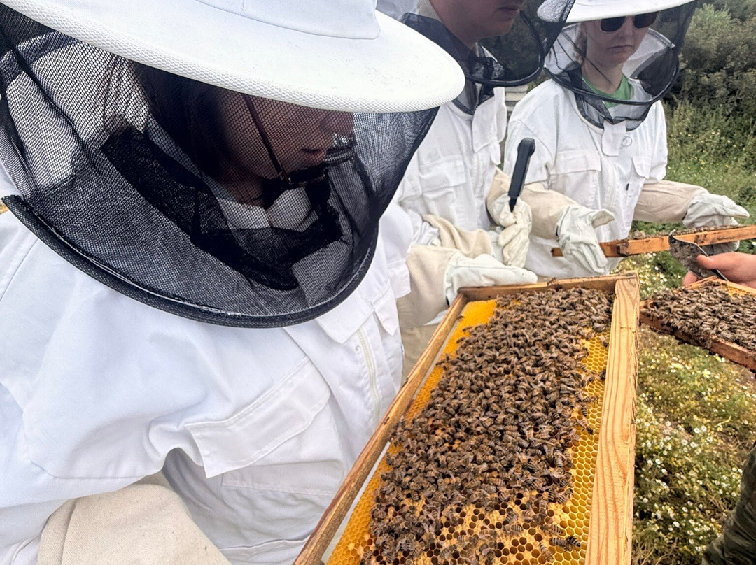 Dousakis Honey Beekeeping Tours-Rodopos必去景点