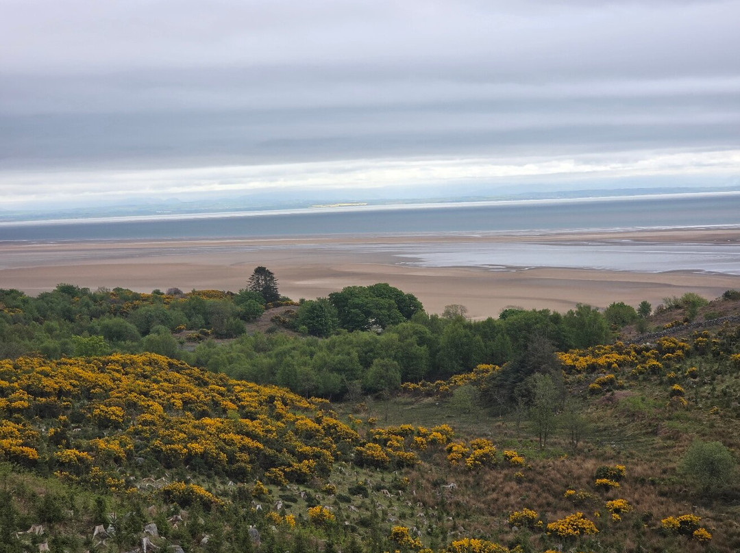 Bainloch Deer Park-Dalbeattie必去景点