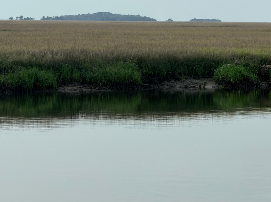Sapelo Island National Estuarine Research Reserve-Sapelo Island必去景点