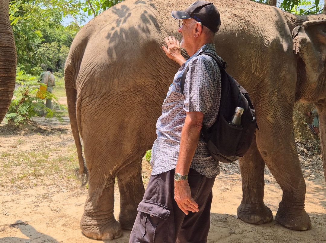 Kulen Elephant Forest-暹粒必去景点