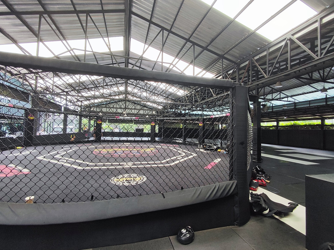 Bangtao Muay Thai & MMA