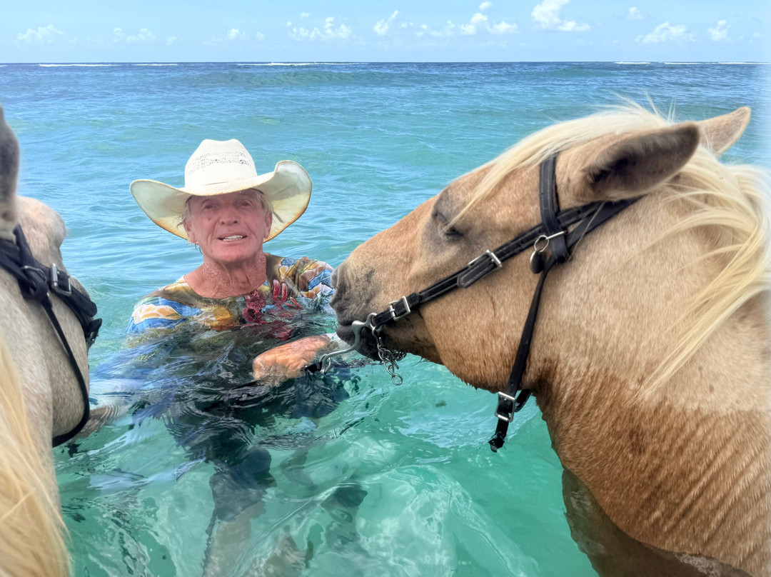 Equus Rides Horseback Riding St. Croix-Frederiksted必去景点