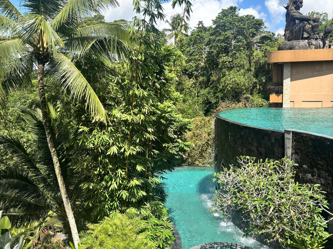 Wanna Jungle Pool and Bar-佩艳艮必去景点