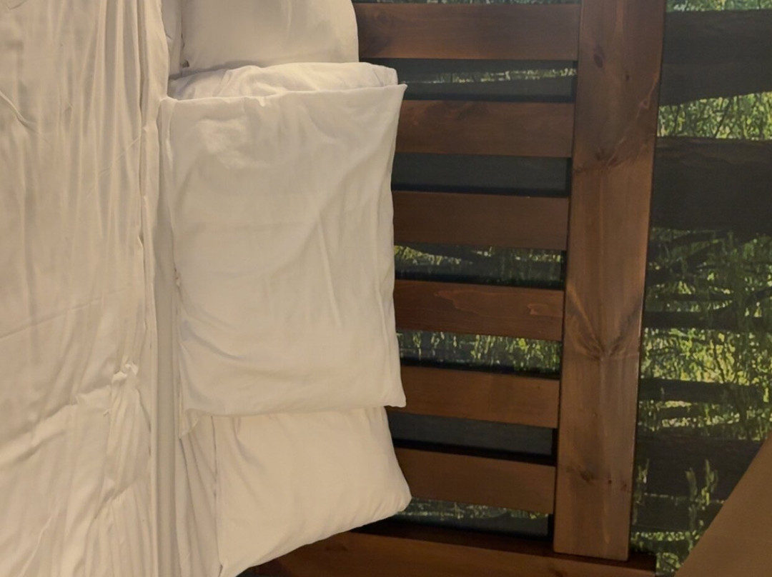 亚特兰大拉格兰奇大狼小屋主图