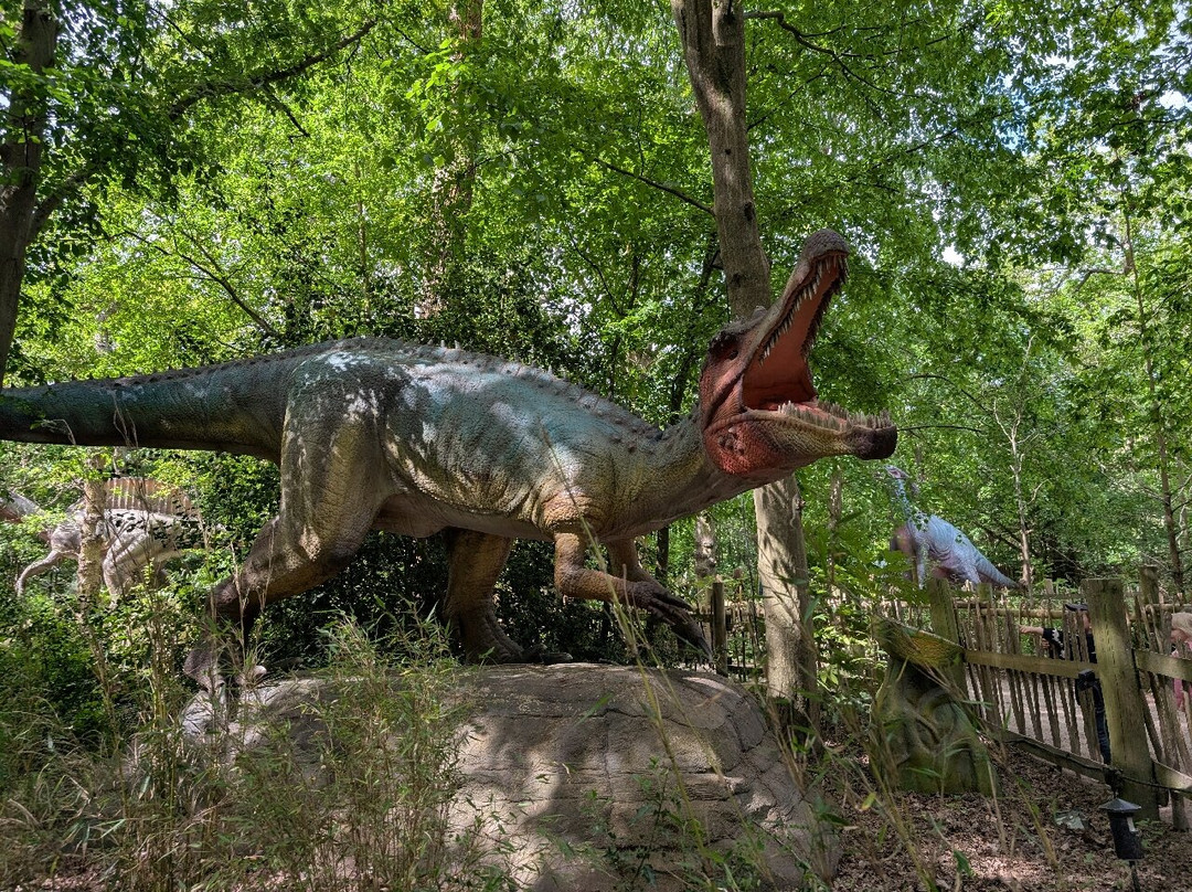 Hertfordshire Zoo-布罗克斯本必去景点