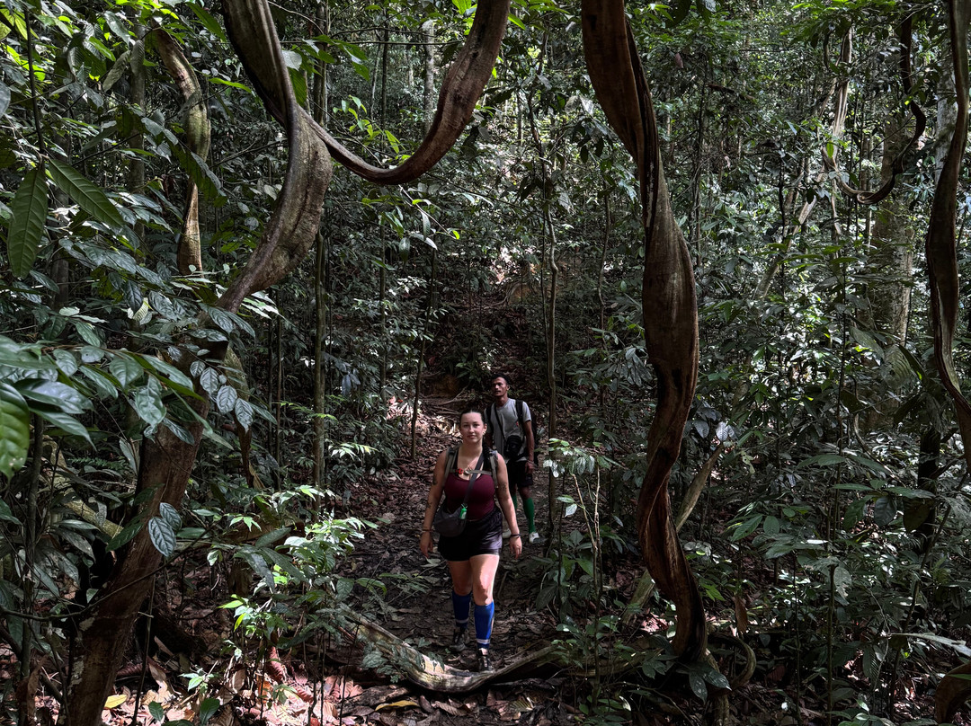 Sumatra Tour Adventures-武吉拉旺必去景点