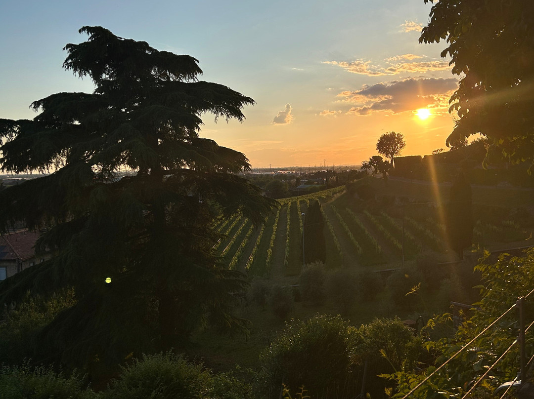 Tenuta Castello di Grumello-Grumello del Monte必去景点