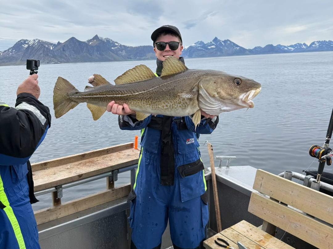 Arctic Spearfishing & guided fishing-Ballstad必去景点