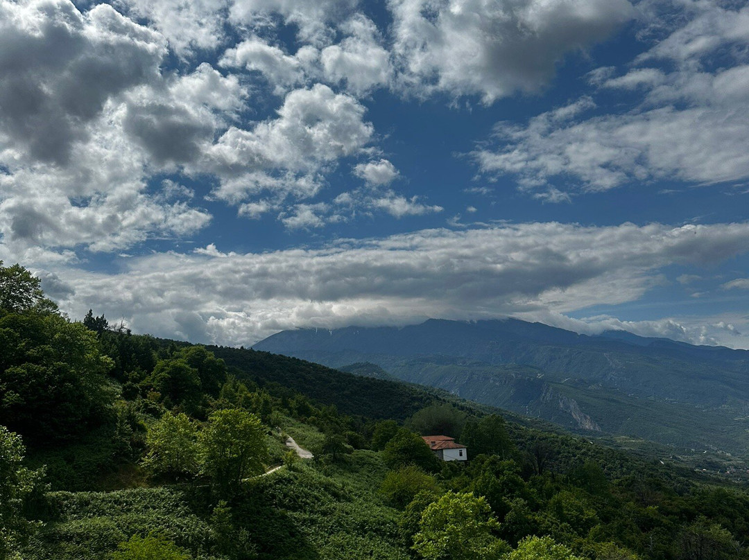 Traditional Guesthouse Erato