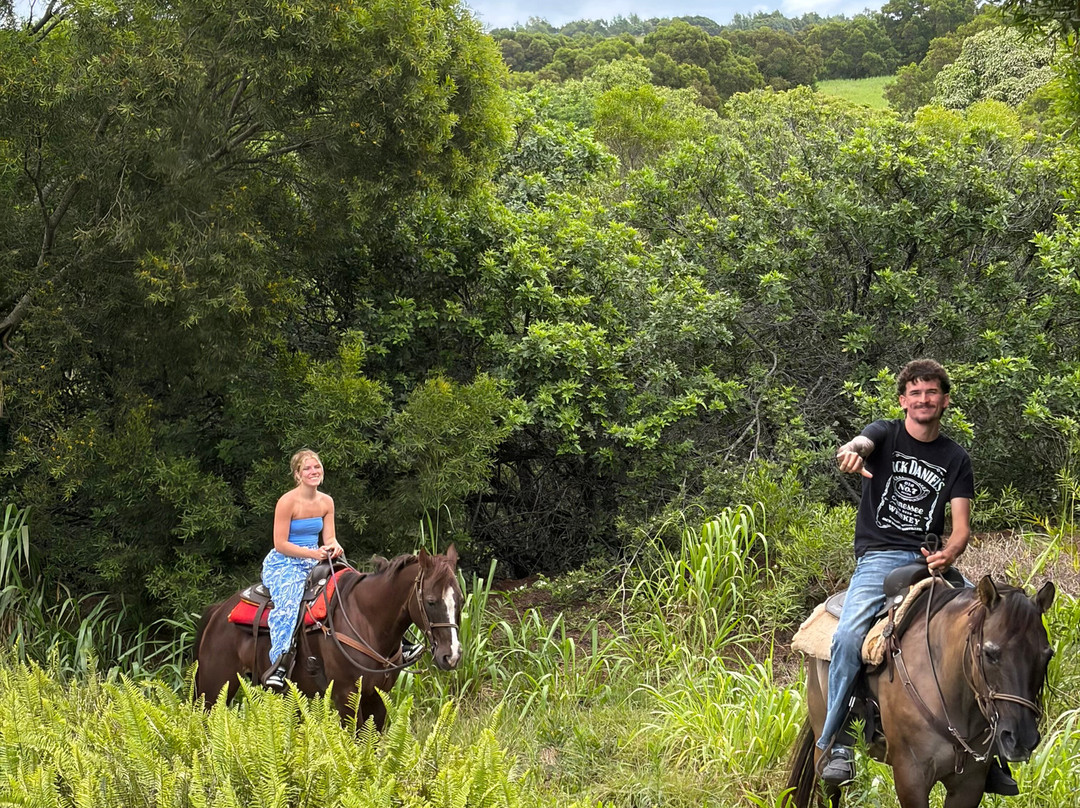 Ironwood Ranch-Napili-Honokowai必去景点